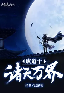 《成道于诸天万界》小说封面