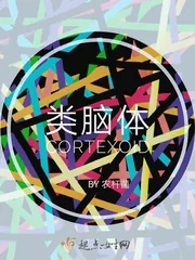 《类脑体》封面