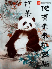 《他有未来机器猫》封面
