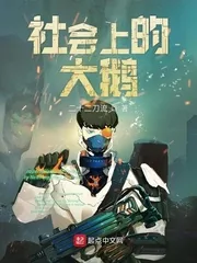 《社会上的大鹅》封面