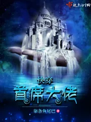 《快穿：首席大佬》封面