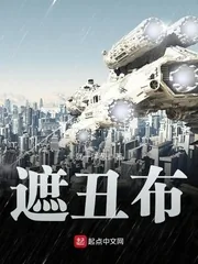 《遮丑布》封面