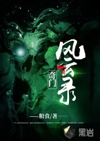 《奇门风云录》封面
