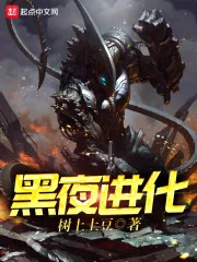 《黑夜进化》封面