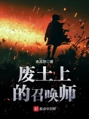 《废土上的召唤师》小说封面