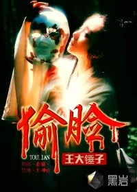 《偷脸》封面