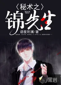 《秘术之锦先生》封面