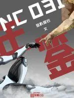 《NC031年鉴》封面