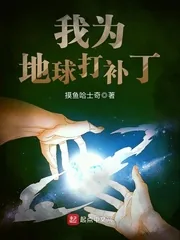 《我为地球打补丁》封面