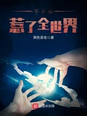 《不小心惹了全世界》封面
