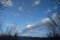 《万物生长向太阳》封面