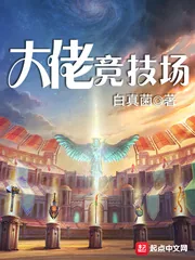 《大佬竞技场》封面
