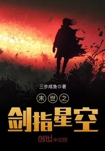 《末世之剑指星空》封面
