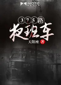 《375路夜班车》封面