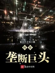 《科技垄断巨头》封面
