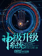 《神级升级系统》封面