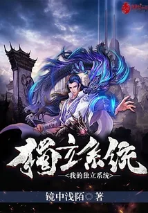 《我的独立系统》封面