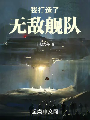 《我打造了无敌舰队》小说封面