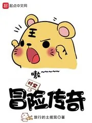 《时空冒险传奇》封面