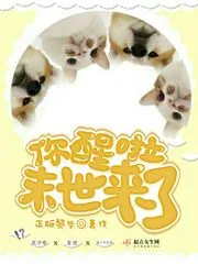 《你醒啦，末世来了》封面