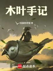 《木叶手记》小说封面