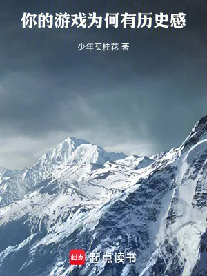 《你的游戏为何有历史感》小说封面