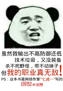 《我的职业真无敌》封面