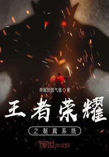 《王者荣耀之制裁系统》封面