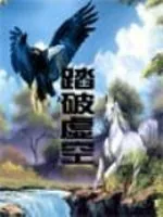 《踏破虚空》小说封面