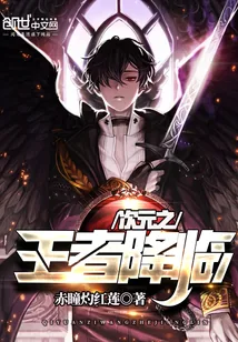 《次元之王者降临》封面