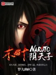 《木叶阴天子》封面