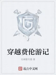 《穿越费伦游记》小说封面