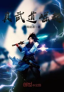 《真武道崛起》小说封面