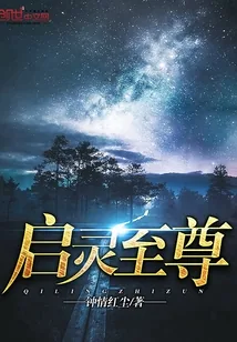 《启灵至尊》封面