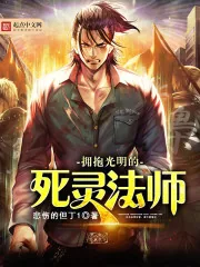 《拥抱光明的死灵法师》封面