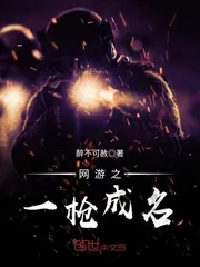 《网游之一枪成名》小说封面