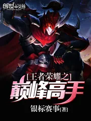 《王者荣耀之巅峰高手》封面