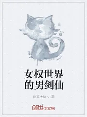 《女权世界的男剑仙》封面