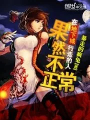 《在地下城行走的人果然不正常》封面