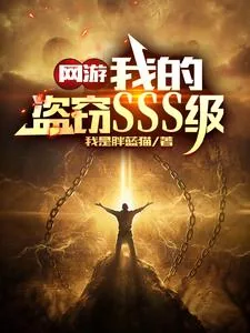 《网游：我的盗窃SSS级》小说封面