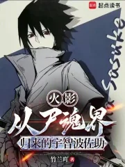 《火影:从尸魂界归来的宇智波佐助》小说封面