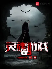 《灵魂游戏——轮回》封面