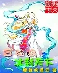 《冒险岛之冰封天下》小说封面