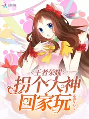 《王者荣耀：拐个大神回家玩》封面