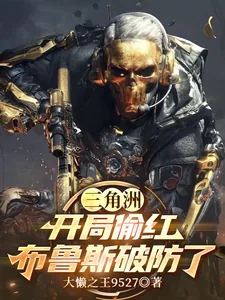 《三角洲:开局偷红,布鲁斯破防了》小说封面