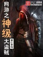 《网游之神级大盗贼》封面