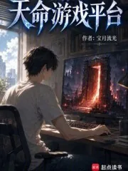 《天命游戏平台》小说封面