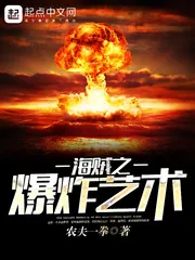 《海贼之爆炸艺术》封面