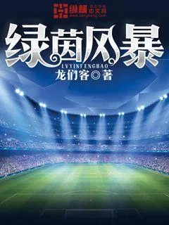 《绿茵风暴》封面