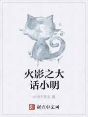 《木叶里的大话小明》封面